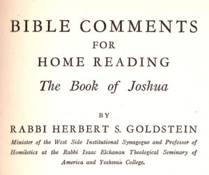 Joshua by Goldstein 