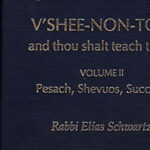 Rabbi  Elias Schwartz: Shavuot