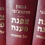 Tzafnas Paneach, Rogatchover Gaon Torah, Moreh Nevuchim