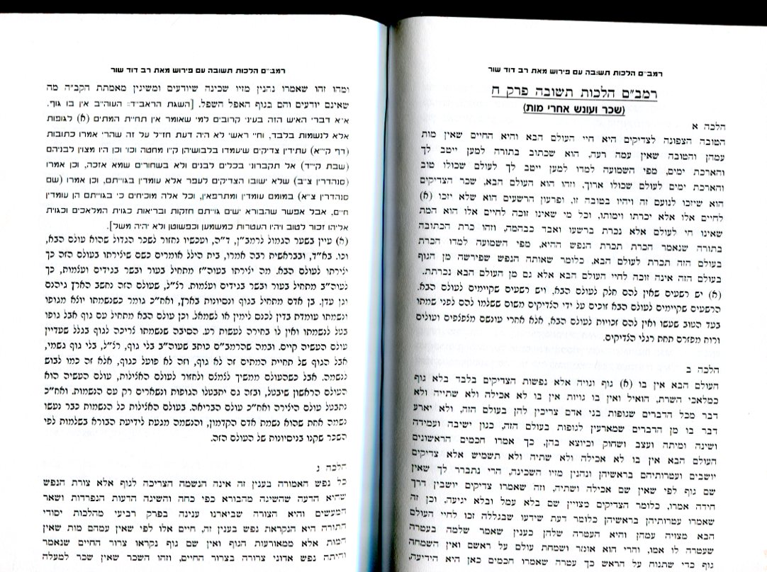 maimonides mishneh torah english pdf