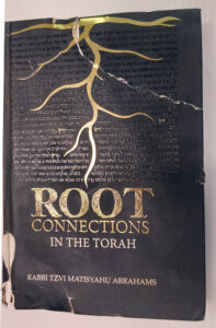 Root Connections in the Torah