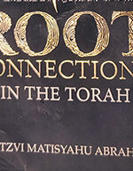 Root Connections in the Torah