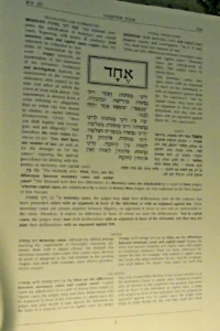 Sanhedrin. The Talmud The Steinsaltz Edition