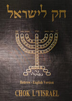 Chok L'Yisrael Numbers 1, Bamidbar