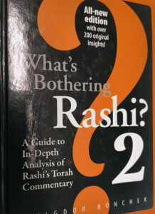 What's Bothering Rashi 2, Bonchek