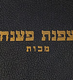 Rogachever Gaon Makkoth, צפנת פענח מכות