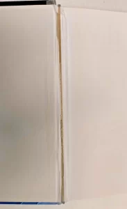 WHITE ICE By Devorah Weiner. Orthodox Jewish Novel