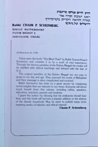 The Blind Thief and Other Stories. Dubno Magid,