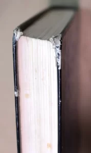 Vol. 1 Or Hachayim Genesis