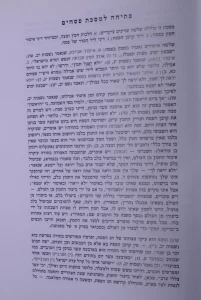 Pesachim Mishnayos Meiros