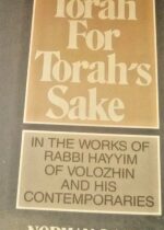 Torah Lishmah. Volozhin.