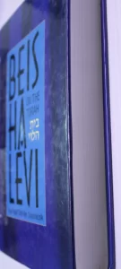 Beis Halevi on The Torah (Bereishis