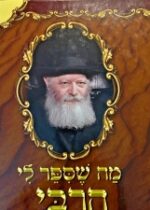 Ma Shesiper Li HaRebbe, Vol. 4