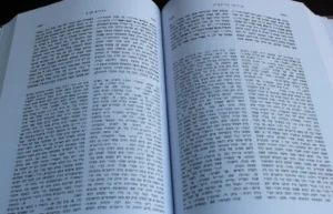 Chidushei haRitvah Nedarim