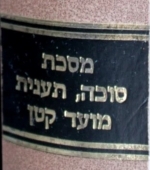 Chidushei Haritva Succah, Taanis, Moed