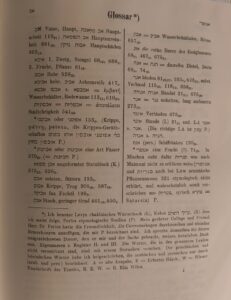 Tosephta Based on the Erfurt and Vienna.
