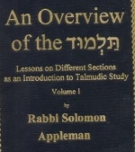 An Overview of the Talmud.  Rabbi Solomon Appleman