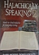 Halachically Speaking 2 by Rabbi Moshe Dovid Lebovits